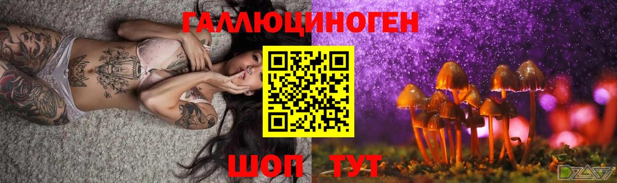 Зерноград  Псилоцибиновые грибы Cubensis  Вход с VPN  Галлюциногенные грибы Magic Shrooms 